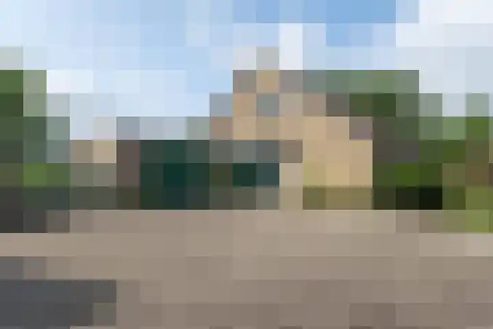 Ds. Pelstraat 9 Suwâld thumbnail 6