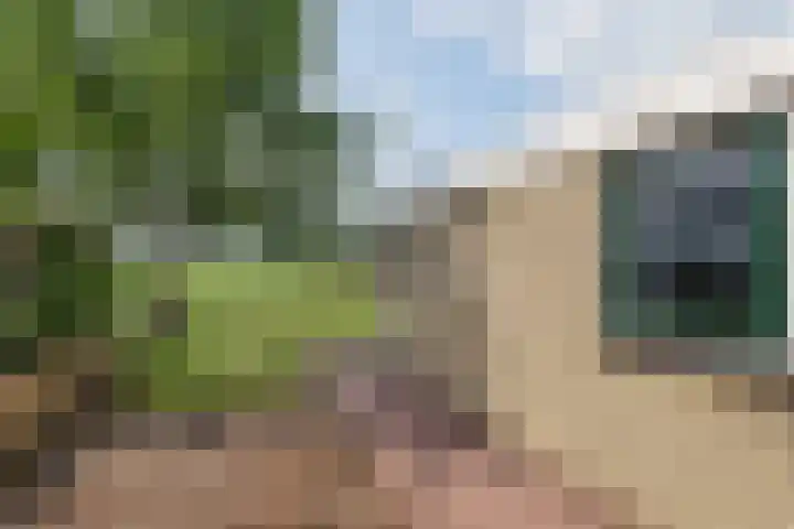 Ds. Pelstraat 9 Suwâld thumbnail 60