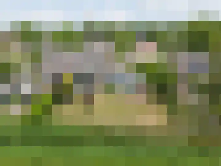 Ds. Pelstraat 9 Suwâld thumbnail 61