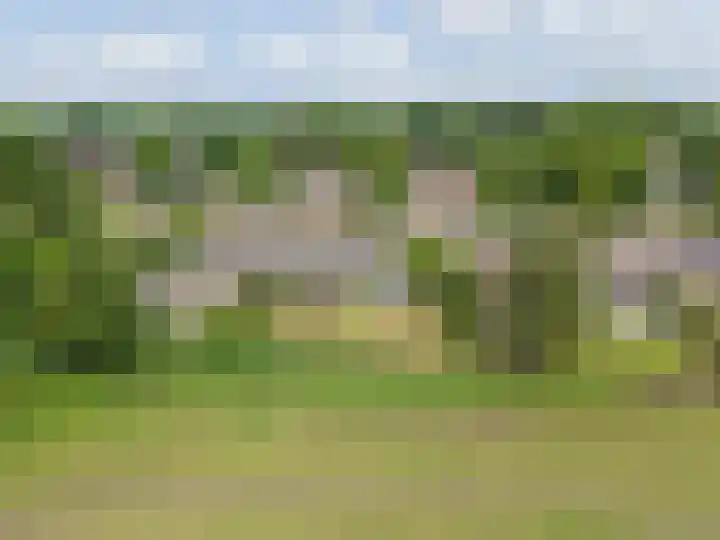 Ds. Pelstraat 9 Suwâld thumbnail 62
