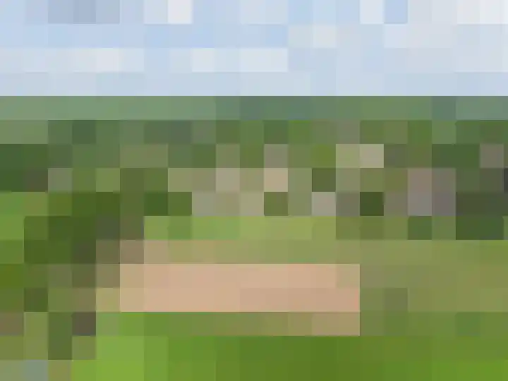 Ds. Pelstraat 9 Suwâld thumbnail 63