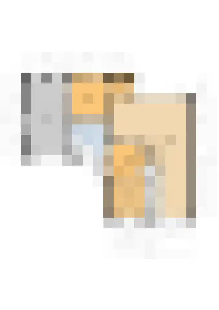 Ds. Pelstraat 9 Suwâld thumbnail 64