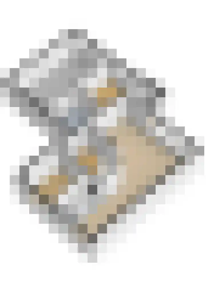 Ds. Pelstraat 9 Suwâld thumbnail 65