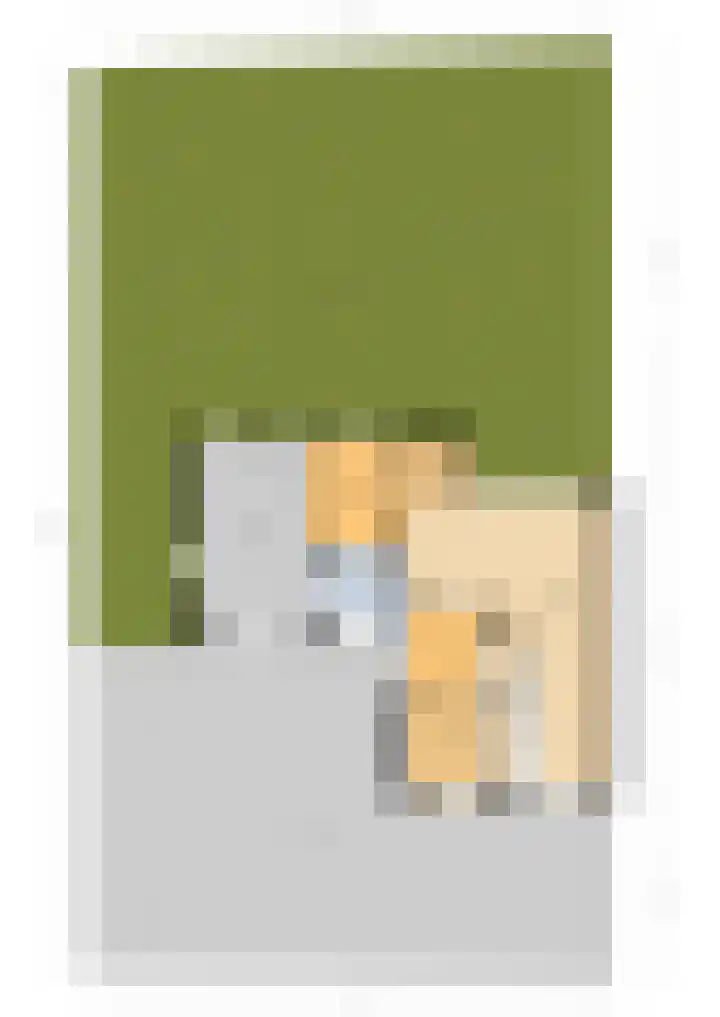 Ds. Pelstraat 9 Suwâld thumbnail 68