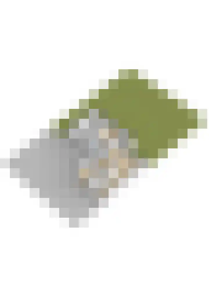Ds. Pelstraat 9 Suwâld thumbnail 69