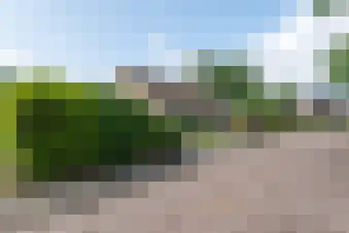 Ds. Pelstraat 9 Suwâld thumbnail 8