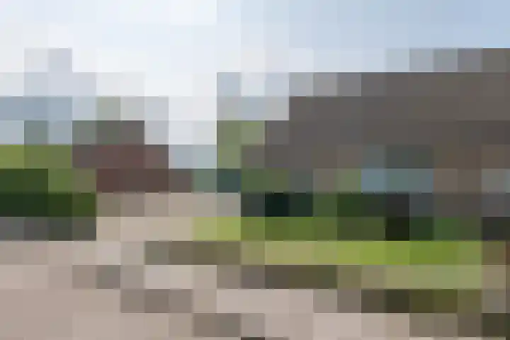 Ds. Pelstraat 9 Suwâld thumbnail 9
