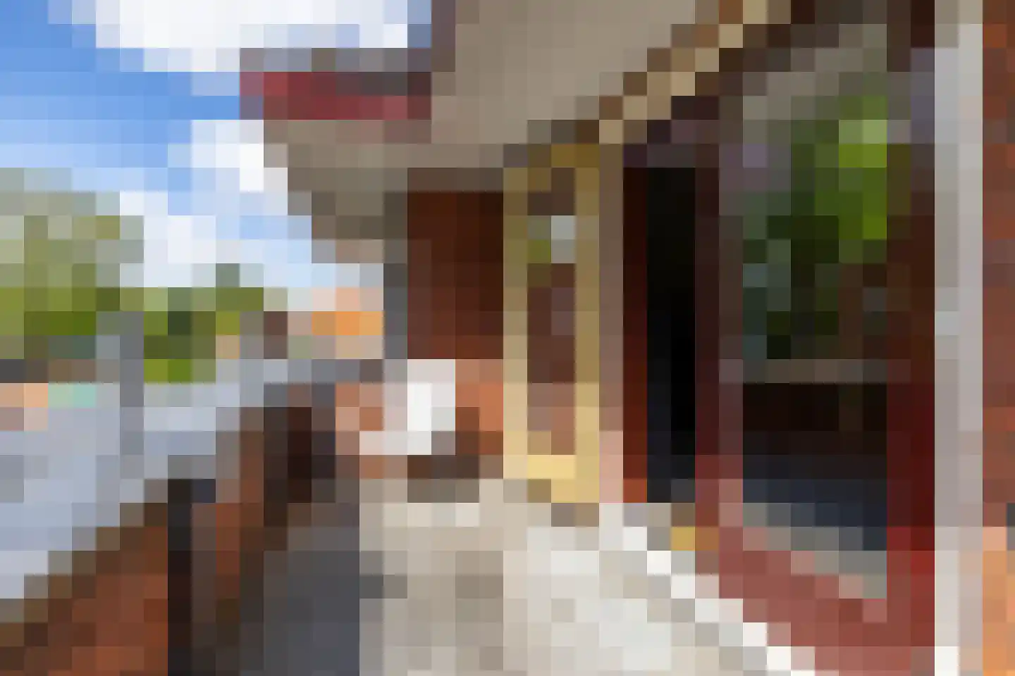 Ds. Petersenstraat 31 Veendam thumbnail 25
