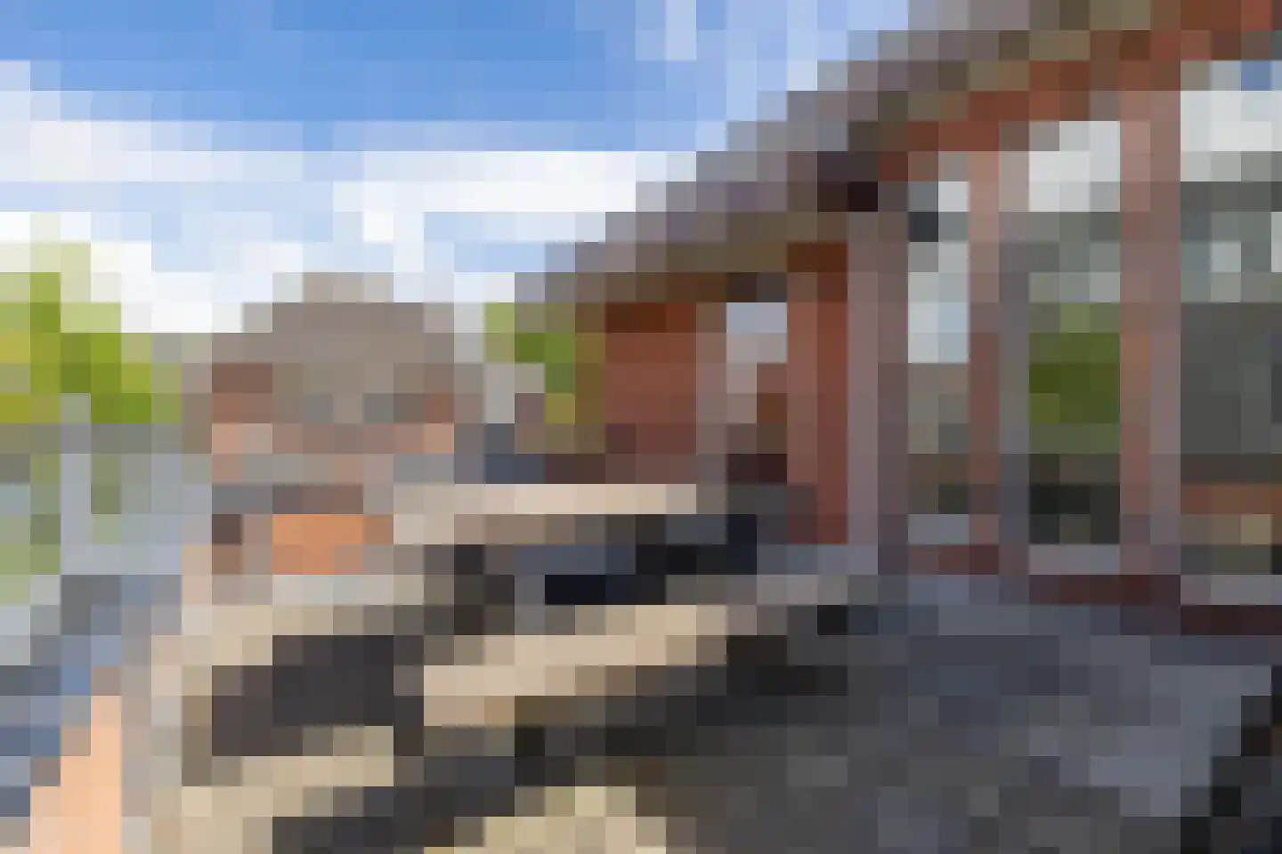 Ds. Petersenstraat 31 Veendam thumbnail 29