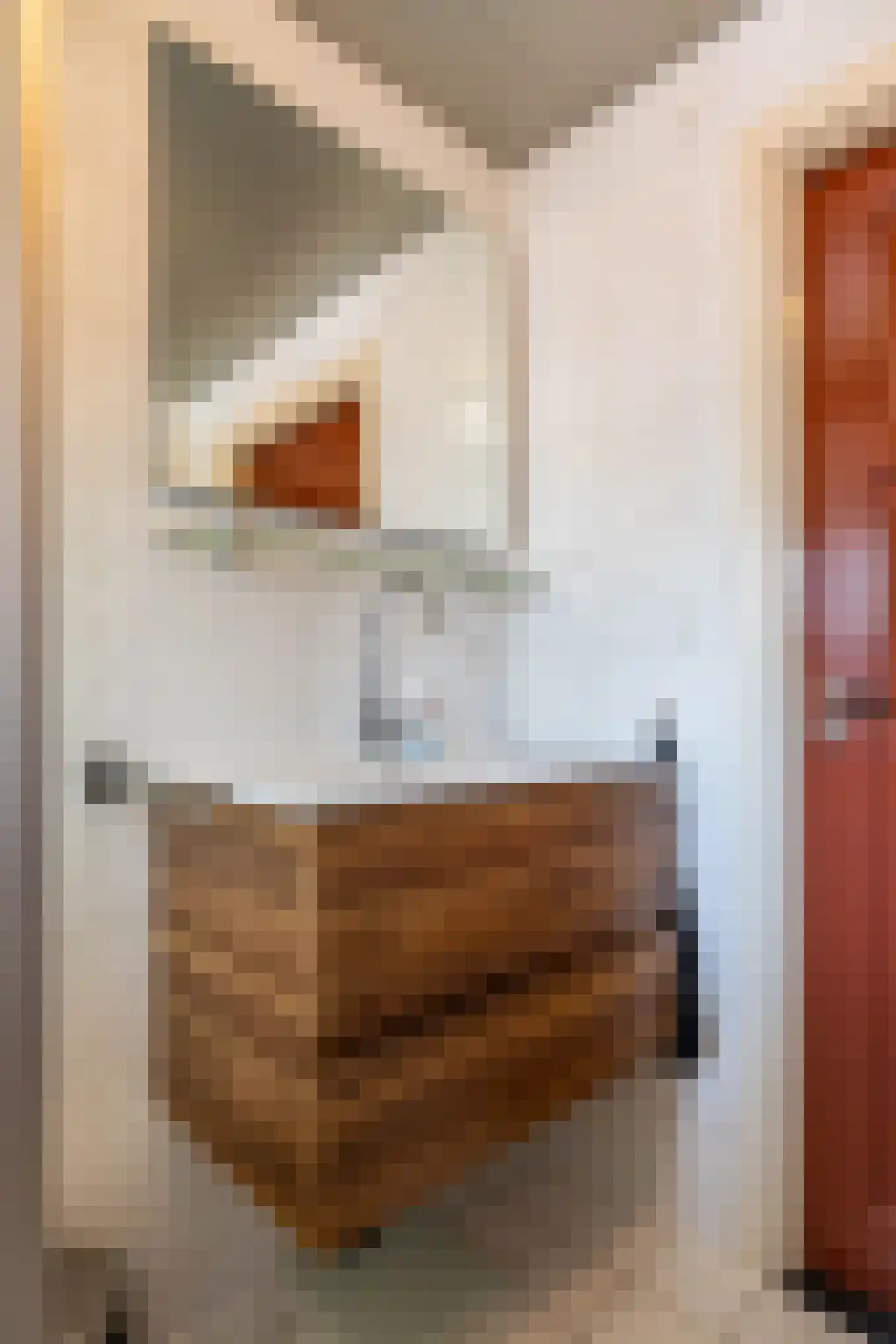 Ds. Petersenstraat 31 Veendam thumbnail 36