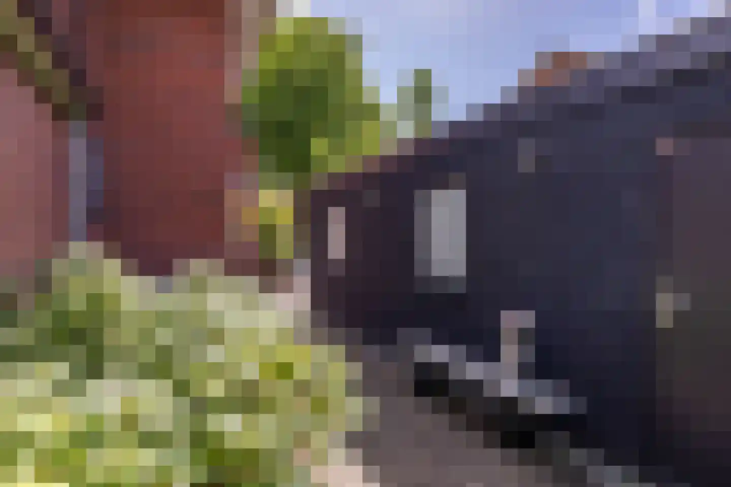 Ds. Petersenstraat 31 Veendam thumbnail 36
