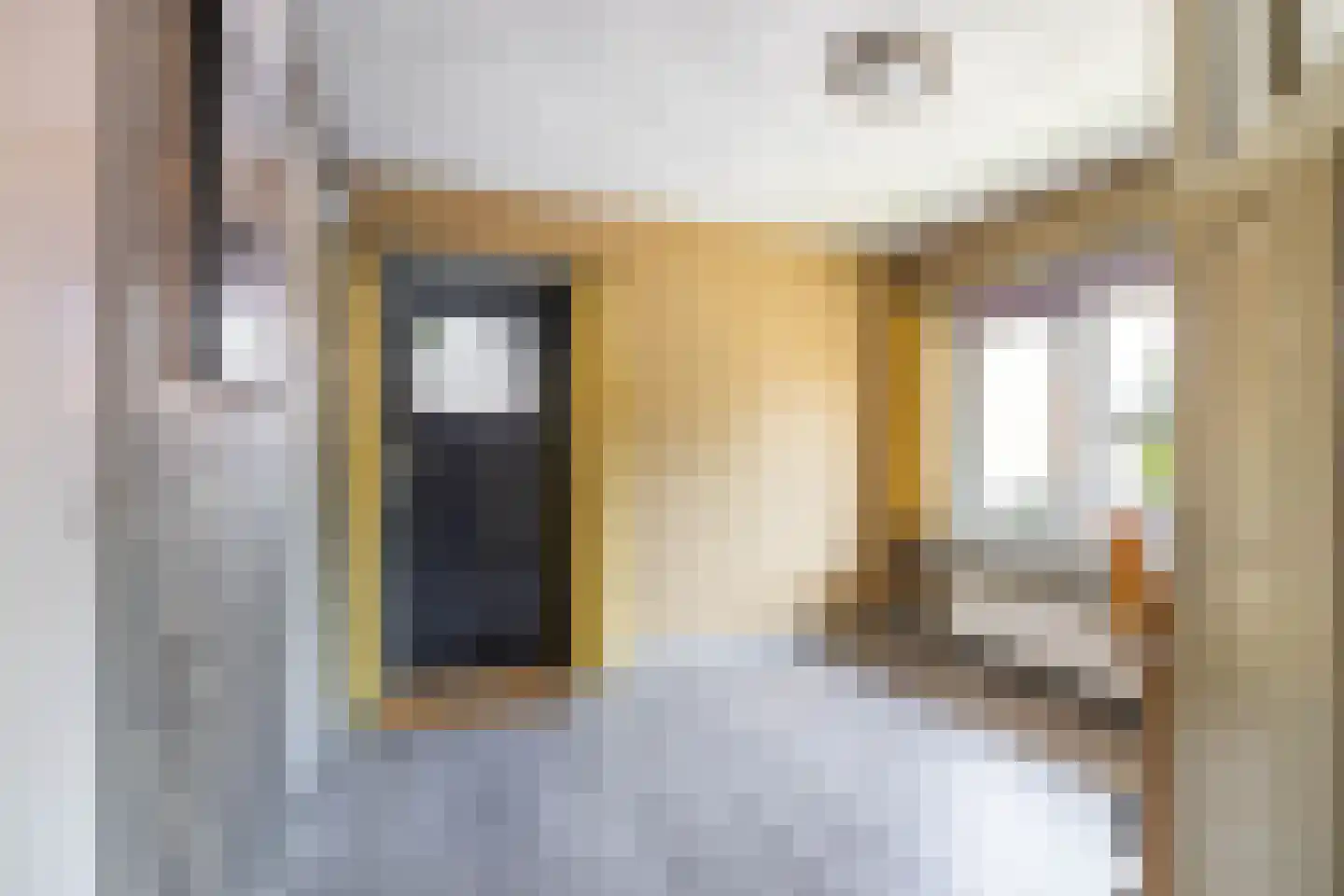 Ds. Petersenstraat 31 Veendam thumbnail 38