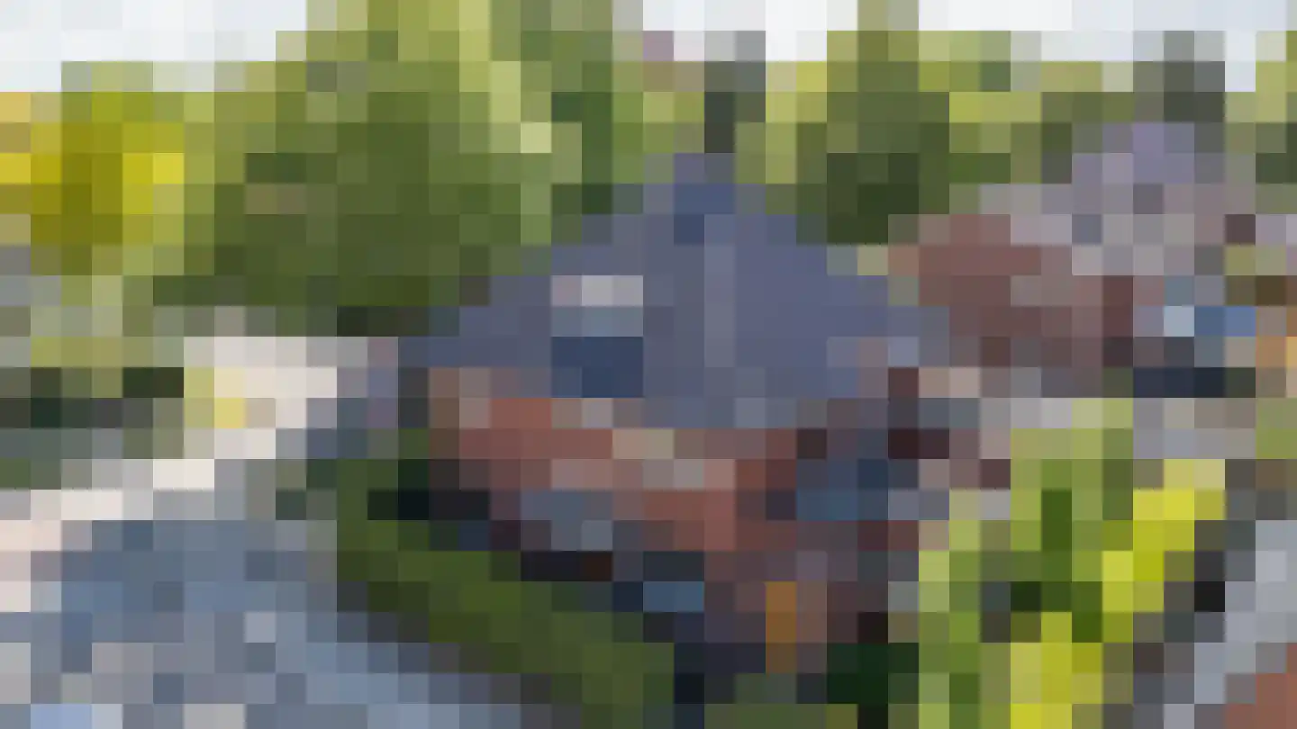 Ds. Petersenstraat 31 Veendam thumbnail 42