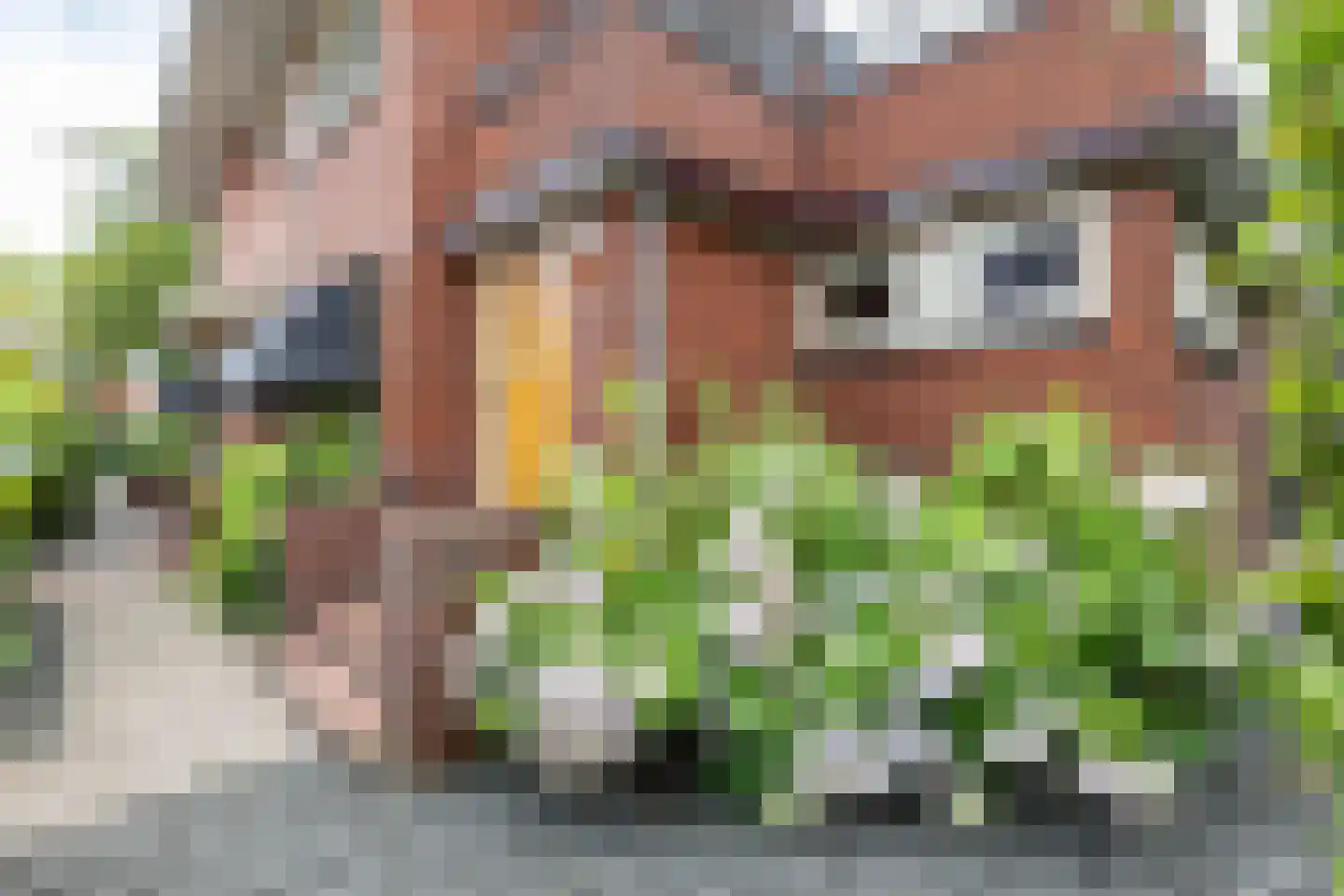Ds. Petersenstraat 31 Veendam thumbnail 49