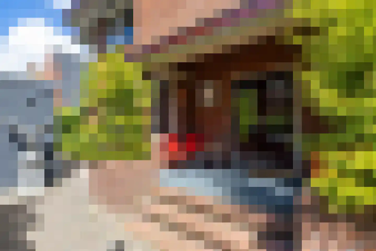Ds. Petersenstraat 31 Veendam thumbnail 9