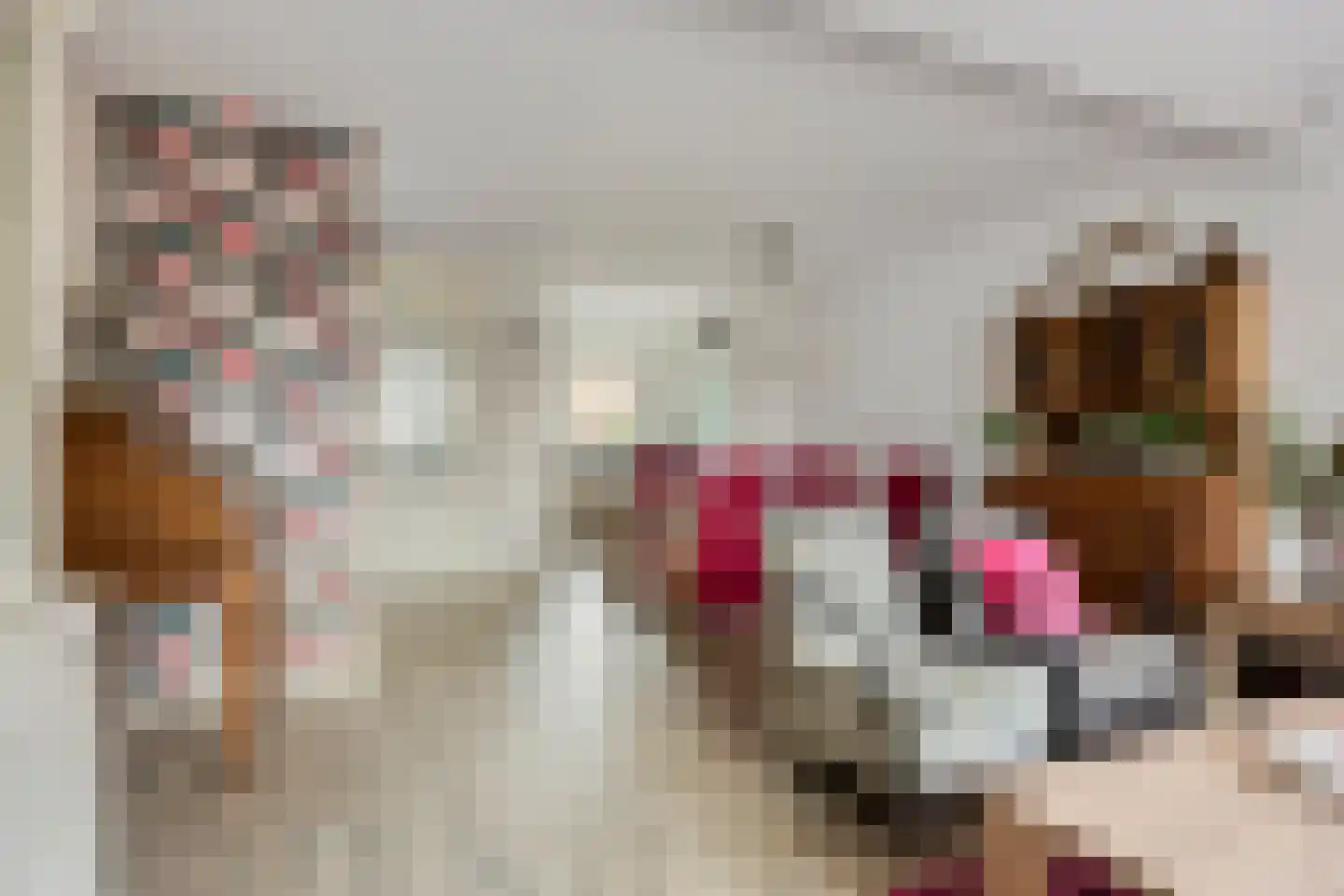 Ds. Poortstraat 4 Streefkerk thumbnail 11