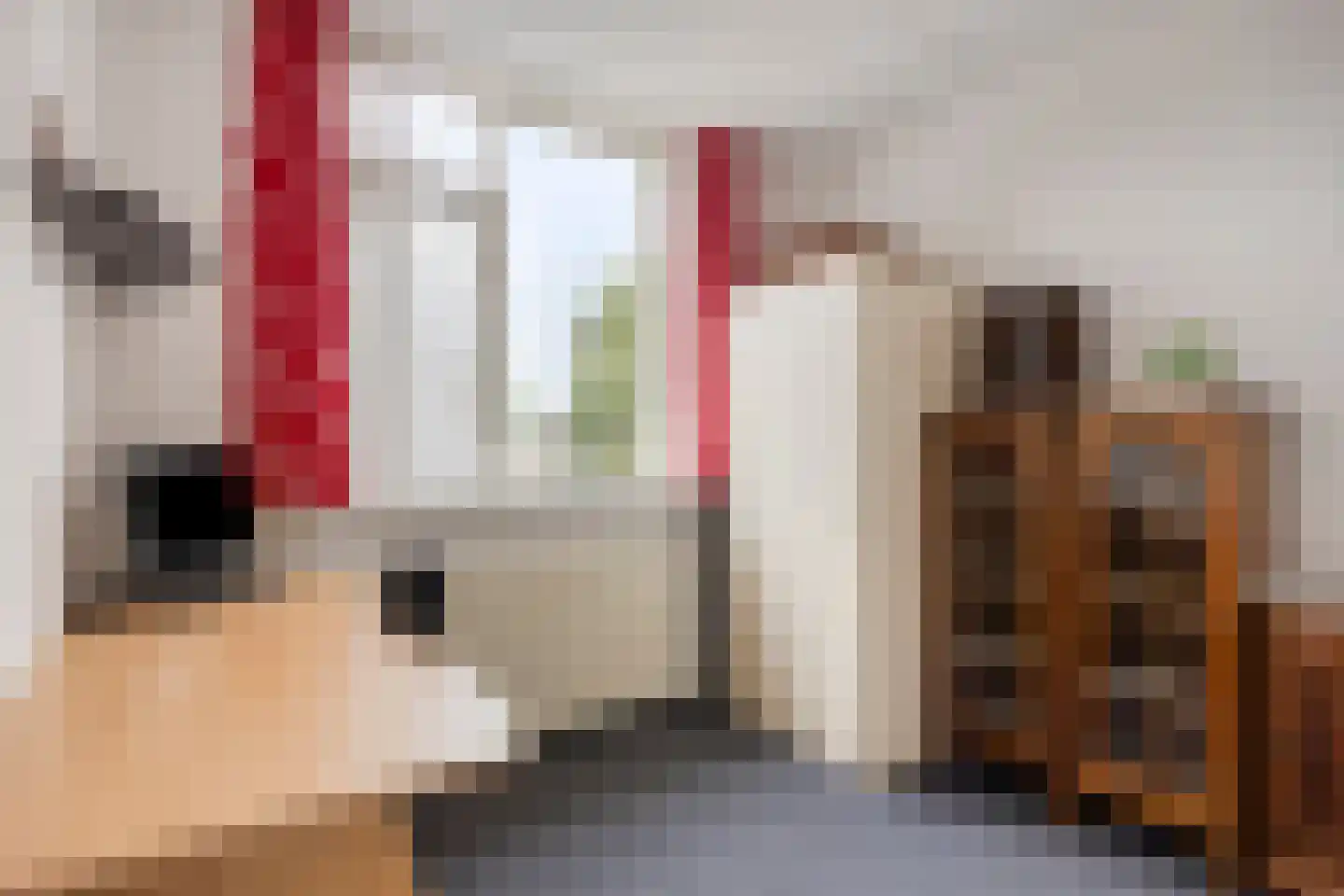 Ds. Poortstraat 4 Streefkerk thumbnail 22