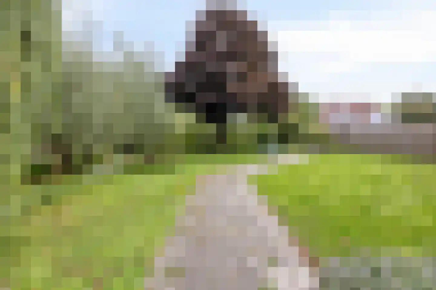 Ds. Poortstraat 4 Streefkerk thumbnail 28