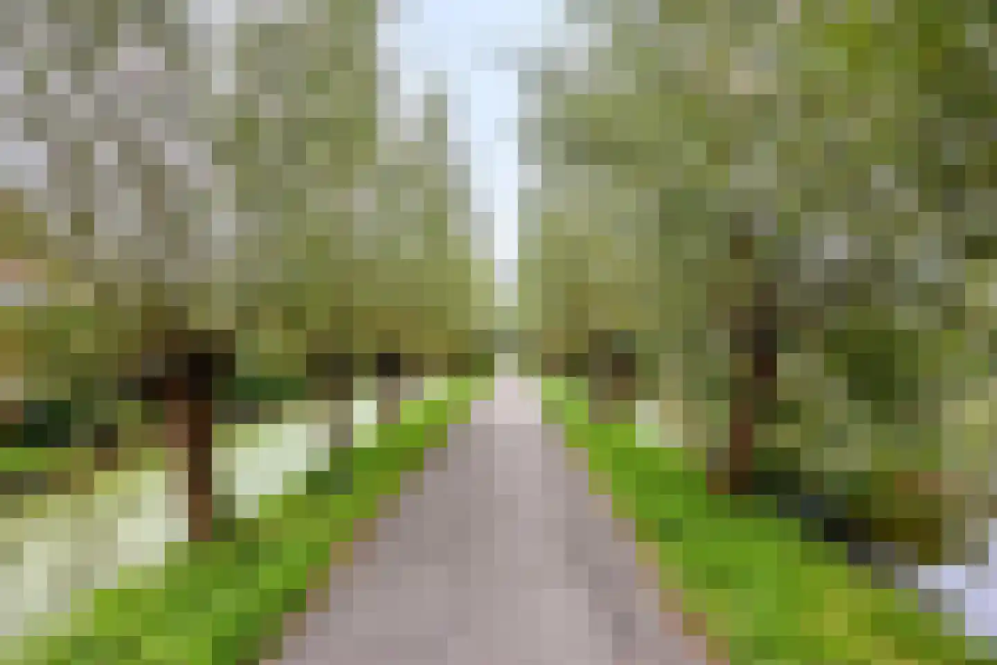 Ds. Poortstraat 4 Streefkerk thumbnail 29
