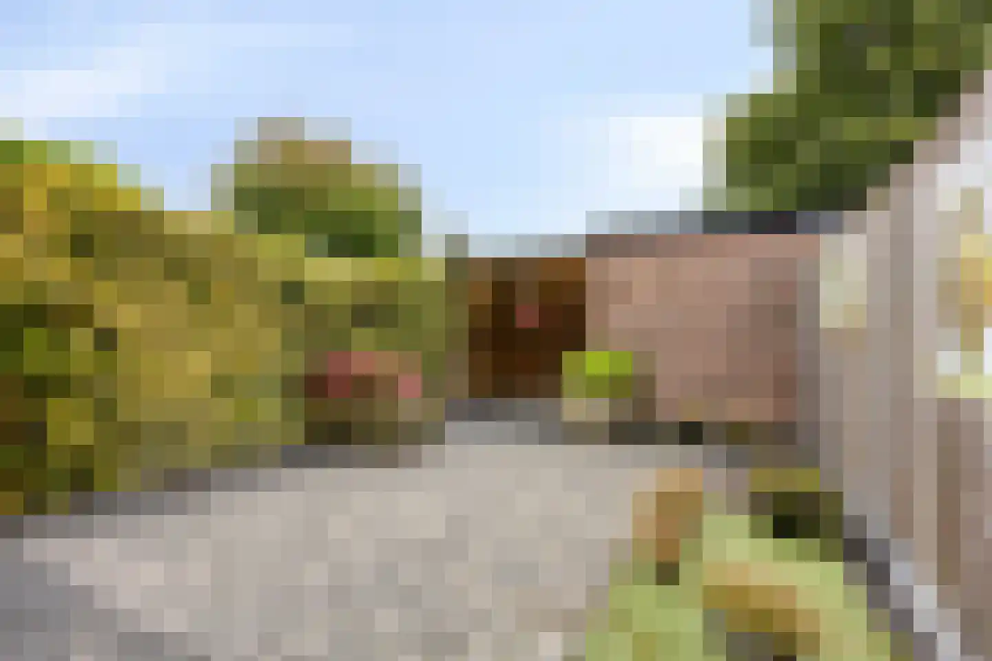 Ds. Poortstraat 4 Streefkerk thumbnail 31