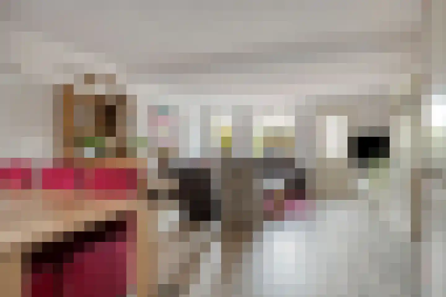 Ds. Poortstraat 4 Streefkerk thumbnail 5