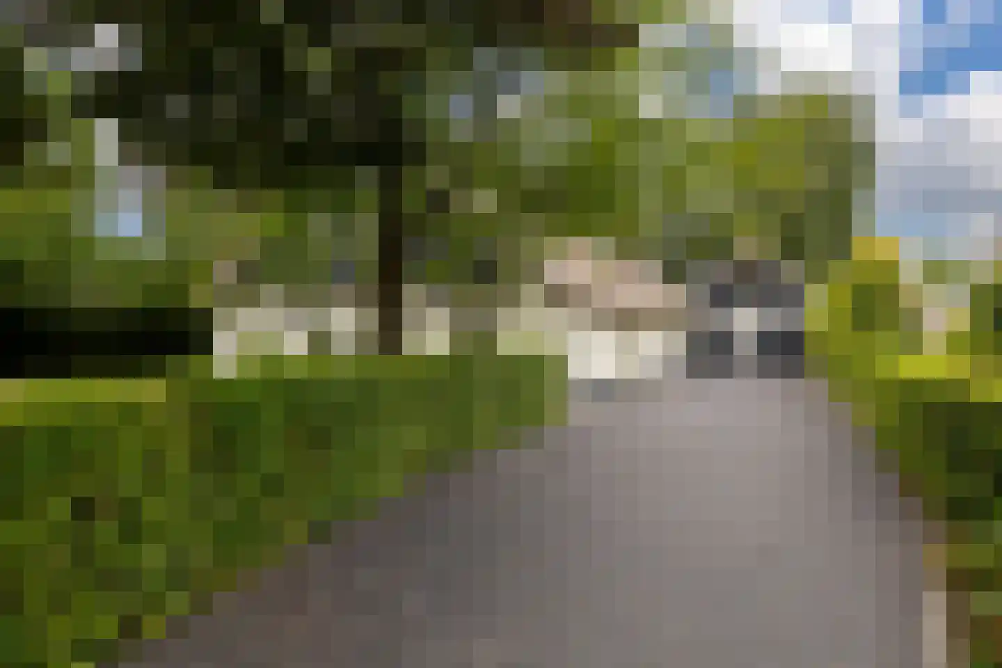 Ds. Posthumus Meijjesweg 7 Hoogland thumbnail 8