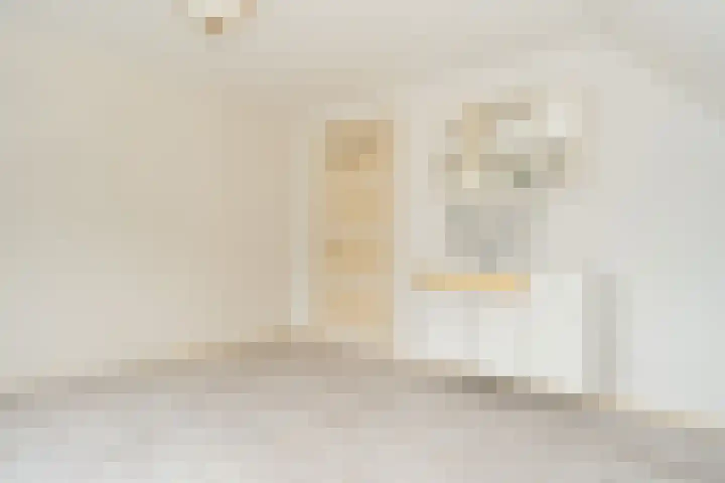 Ds. Prinsweg 7 Epe thumbnail 20