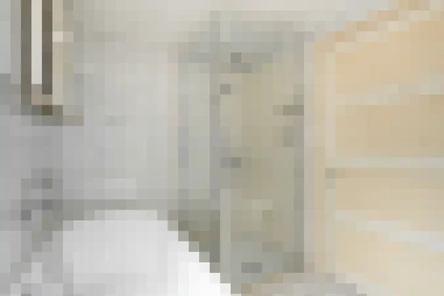Ds. Prinsweg 7 Epe thumbnail 21