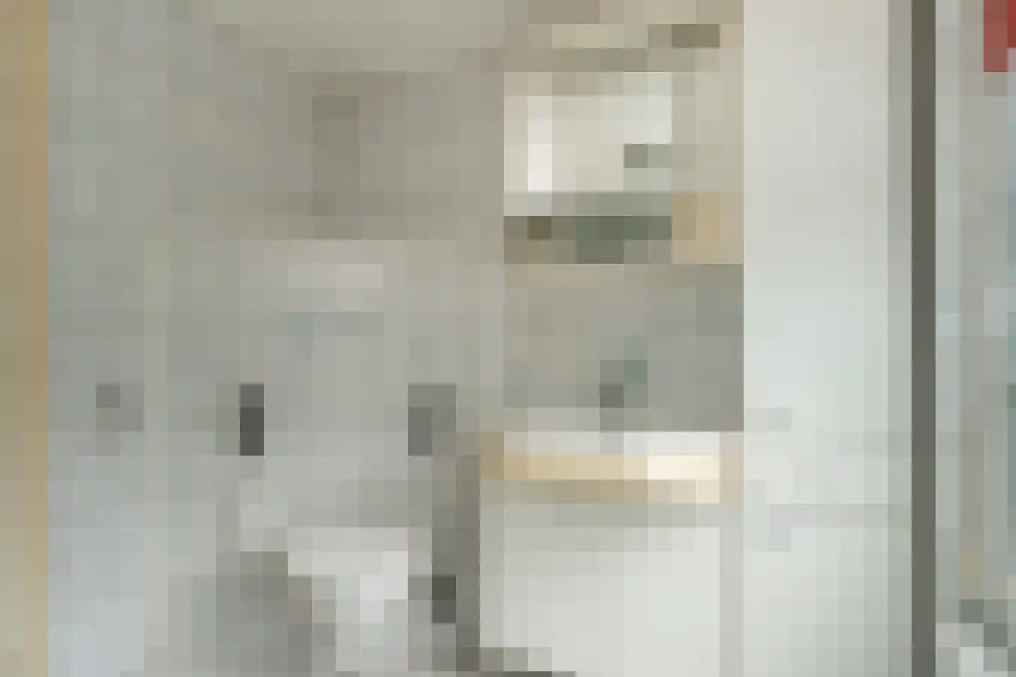 Ds. Prinsweg 7 Epe thumbnail 22
