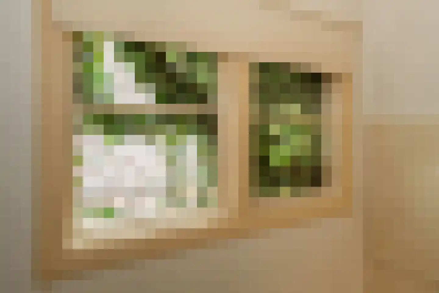 Ds. Prinsweg 7 Epe thumbnail 25