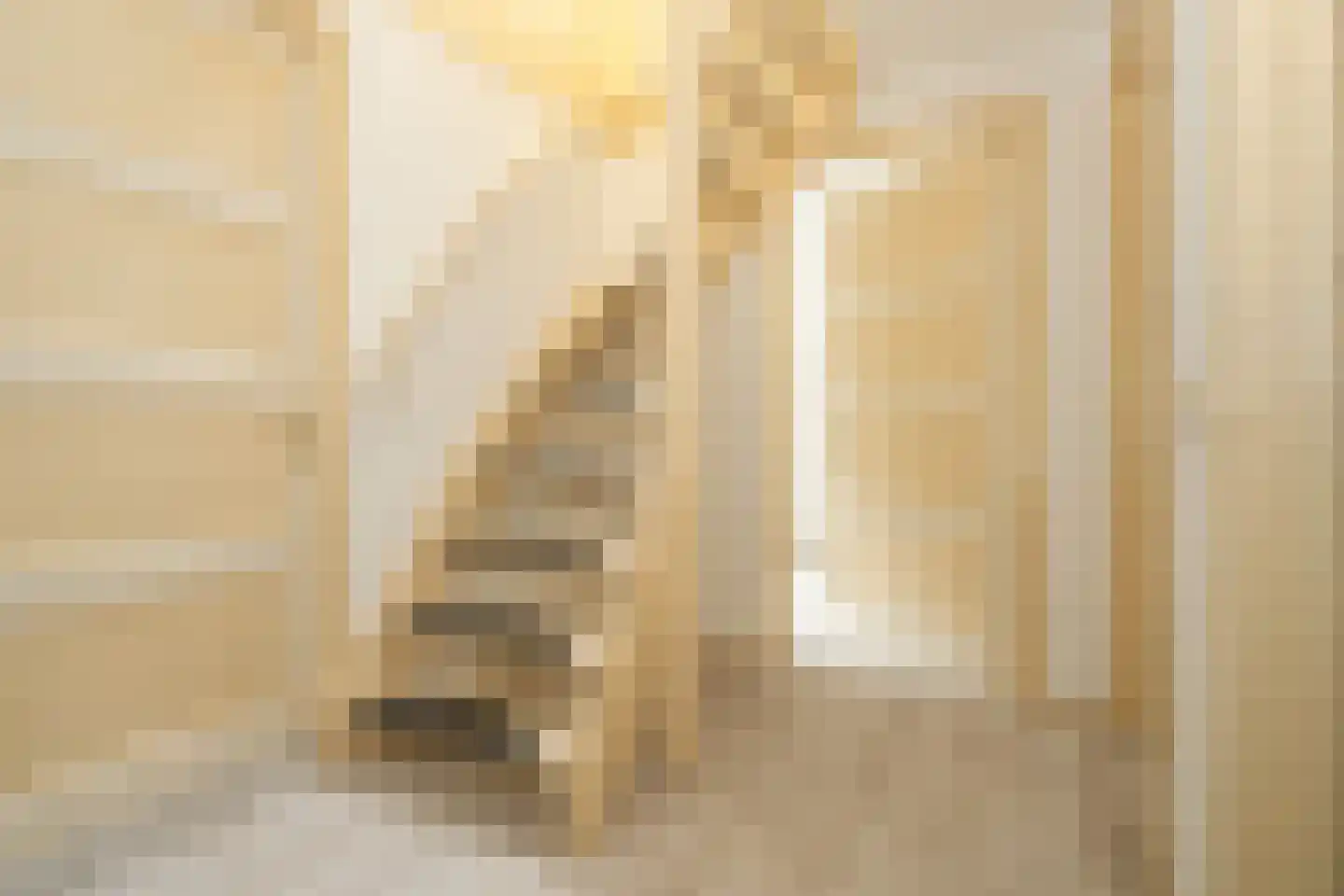 Ds. Prinsweg 7 Epe thumbnail 26
