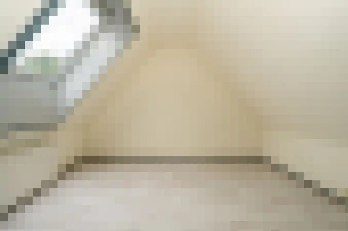 Ds. Prinsweg 7 Epe thumbnail 27