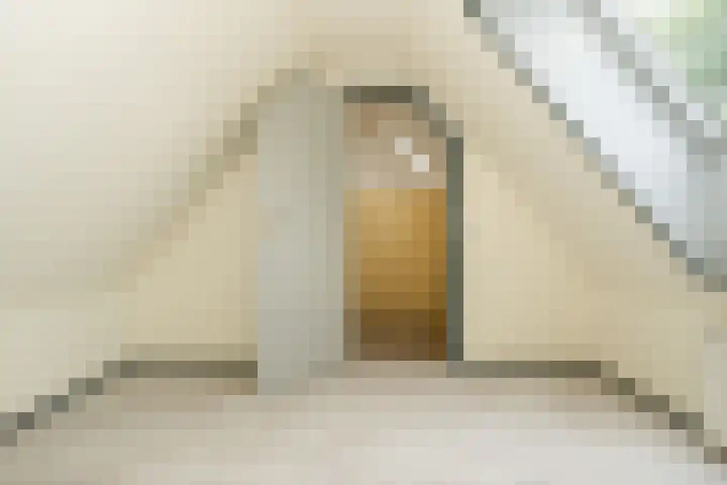Ds. Prinsweg 7 Epe thumbnail 28