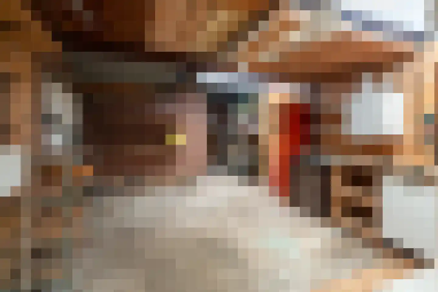 Ds. Prinsweg 7 Epe thumbnail 31
