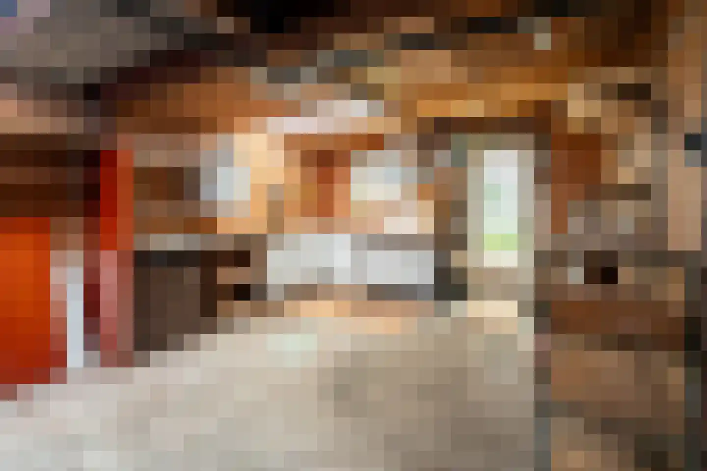 Ds. Prinsweg 7 Epe thumbnail 32