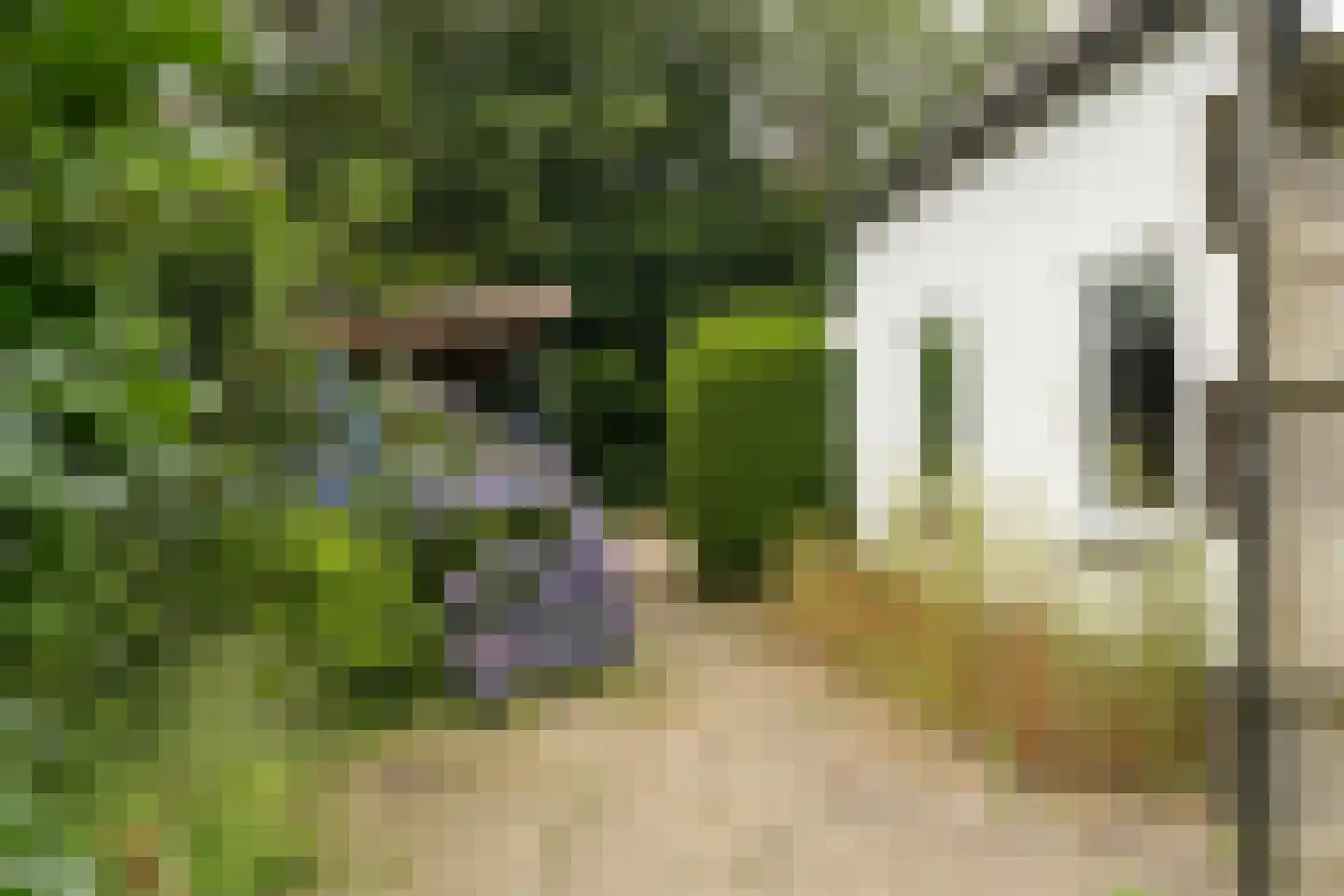 Ds. Prinsweg 7 Epe thumbnail 33