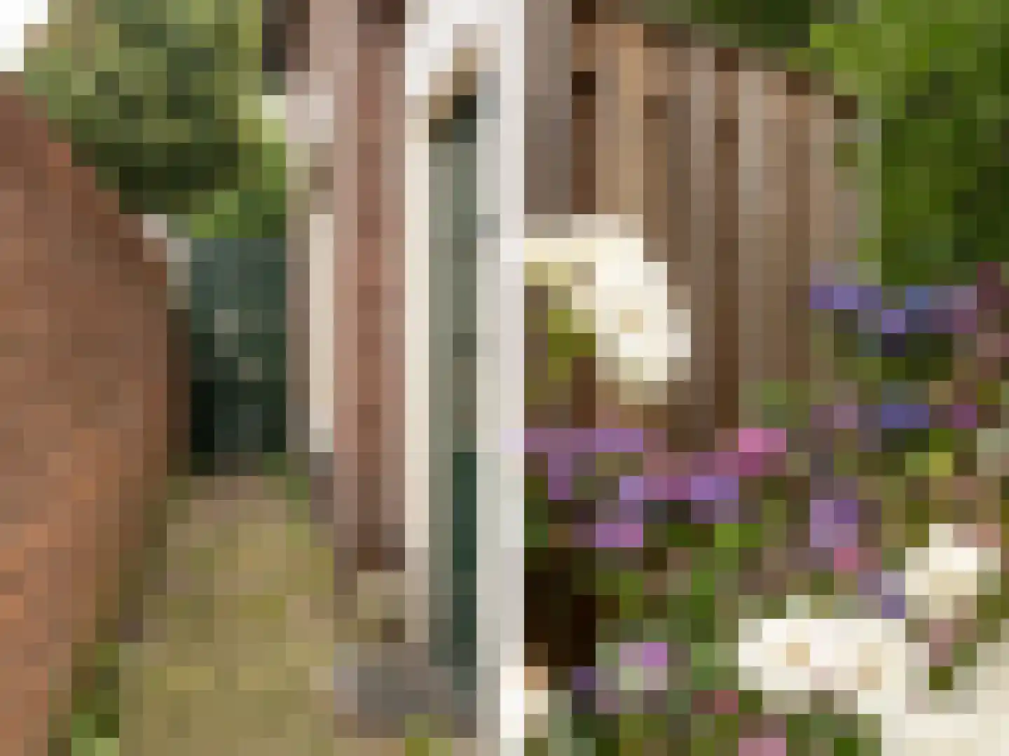 Ds. Prinsweg 7 Epe thumbnail 34