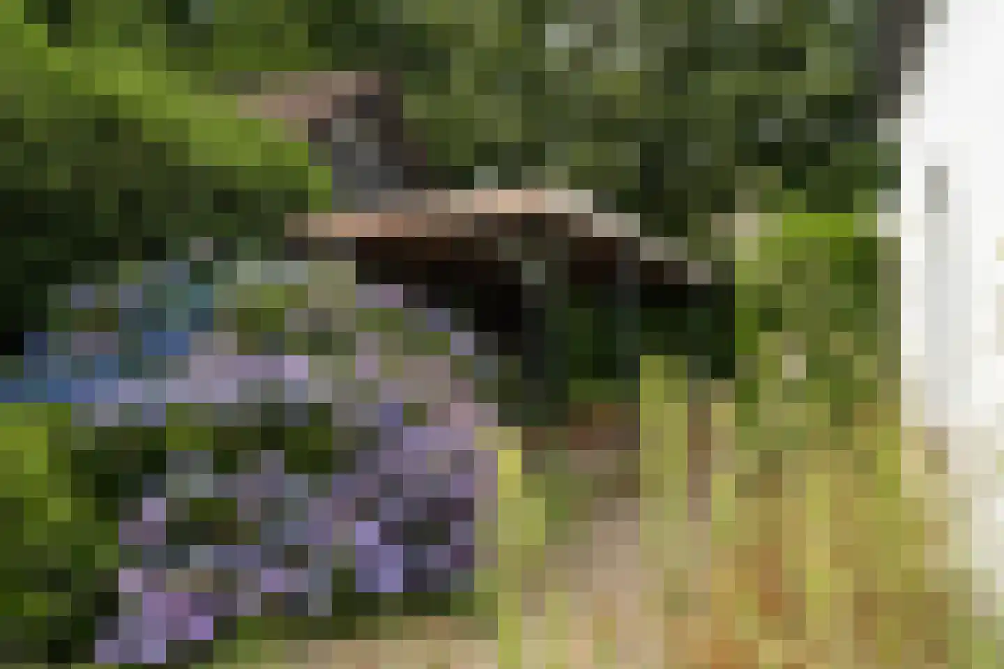 Ds. Prinsweg 7 Epe thumbnail 35