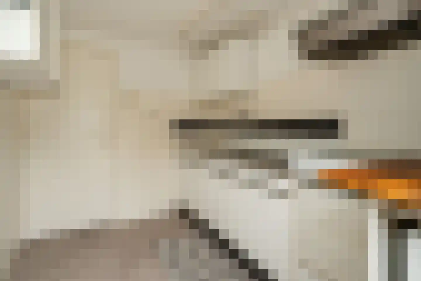 Ds. Prinsweg 7 Epe thumbnail 39