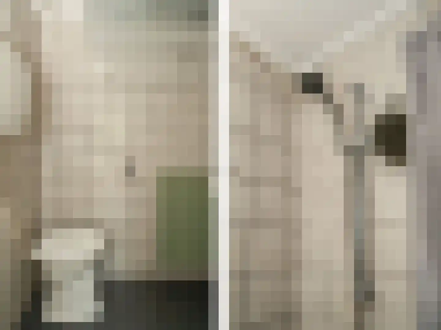 Ds. Prinsweg 7 Epe thumbnail 41