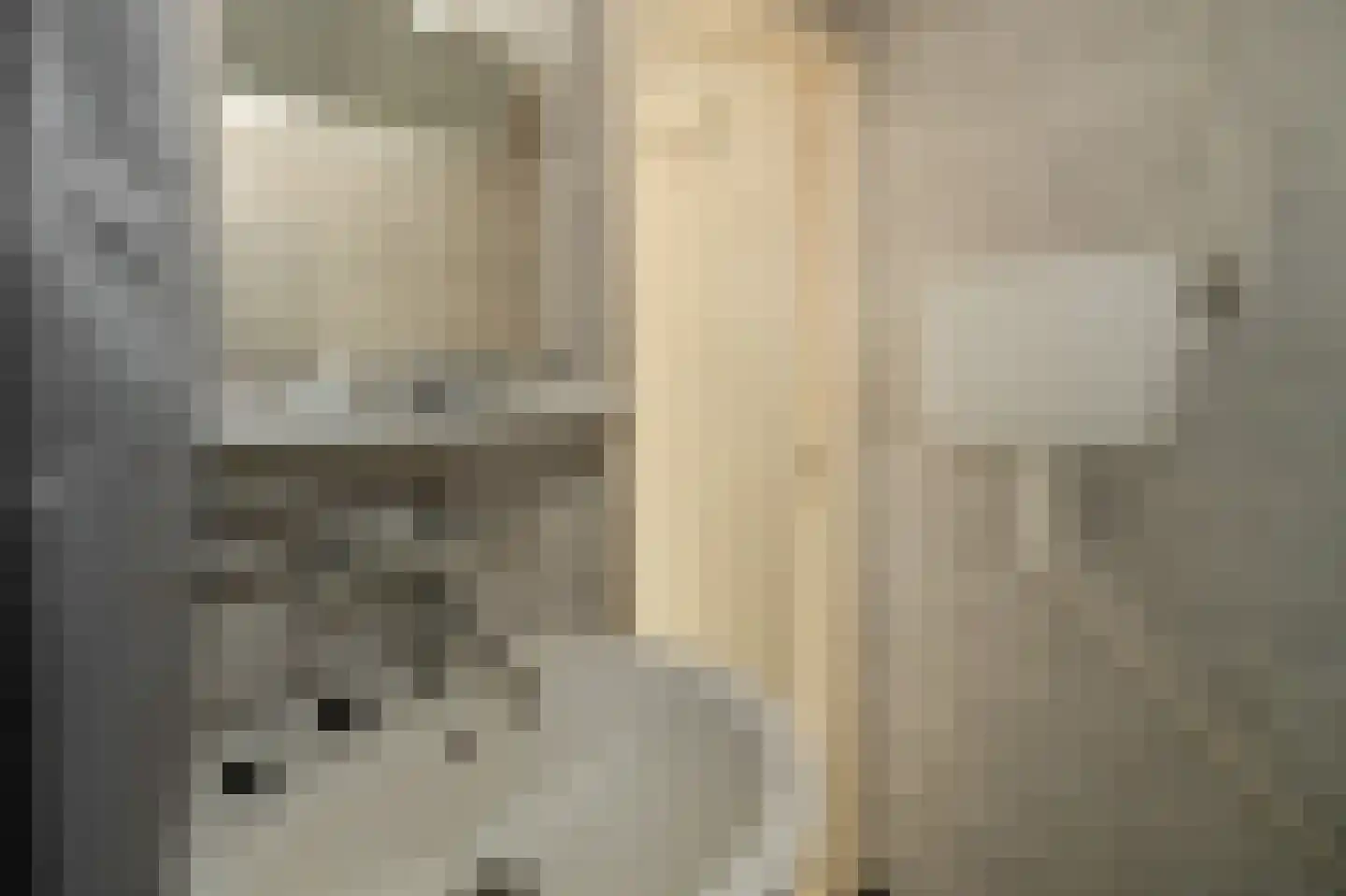 Ds. Prinsweg 7 Epe thumbnail 42