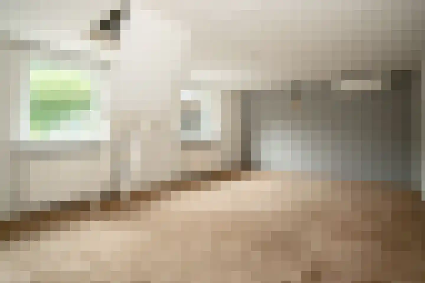 Ds. Prinsweg 7 Epe thumbnail 43