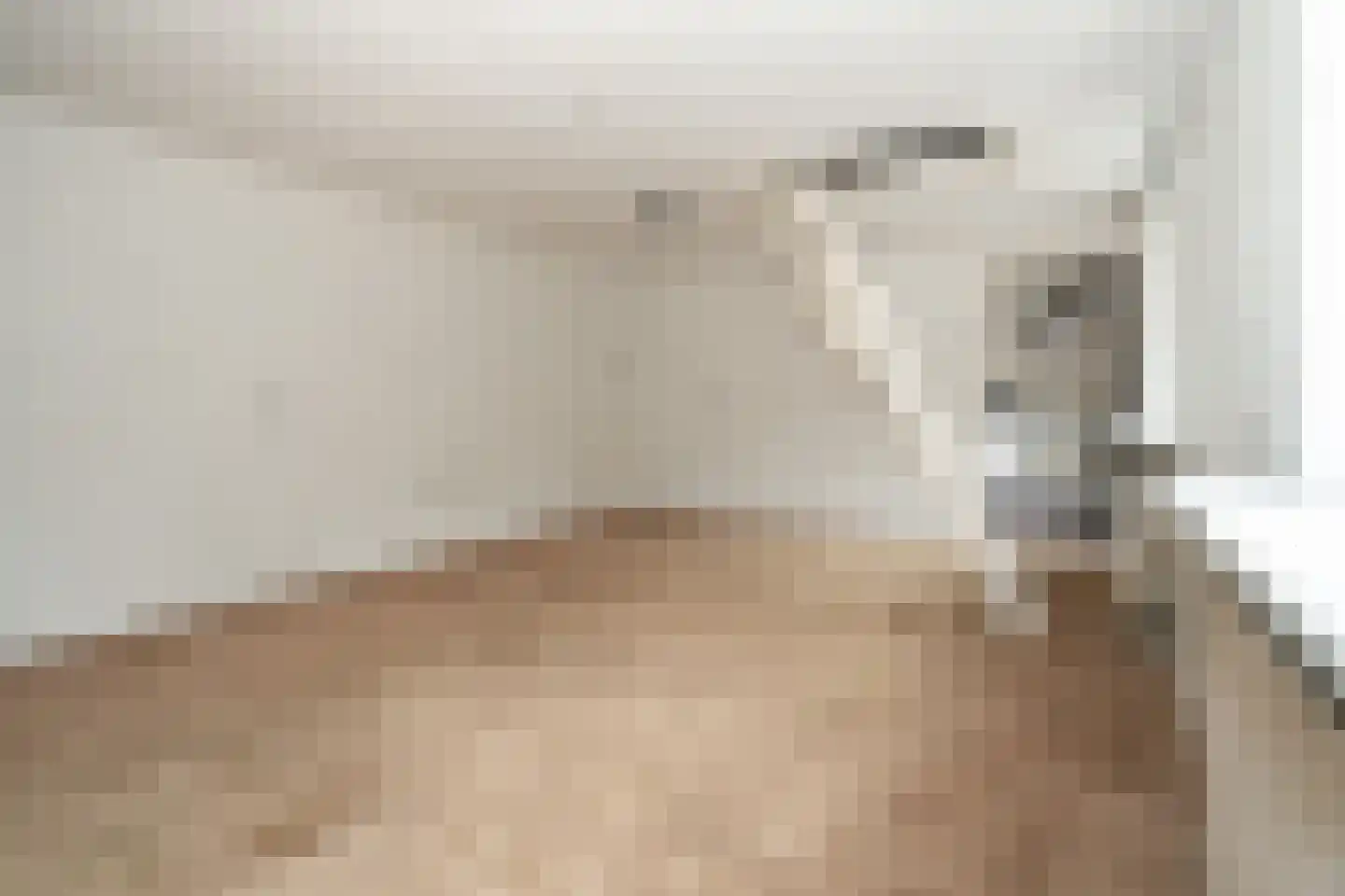 Ds. Prinsweg 7 Epe thumbnail 44