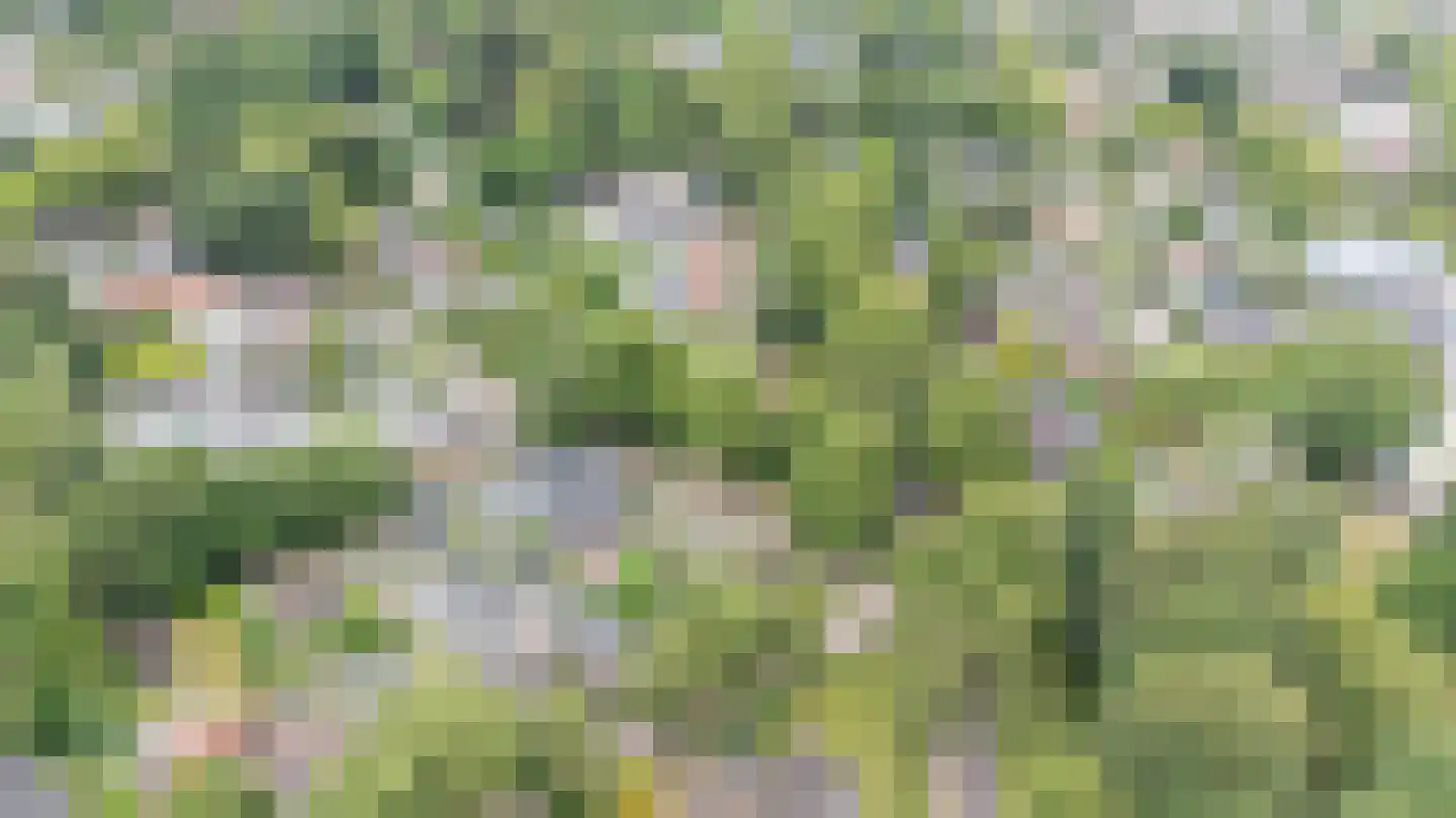 Ds. Prinsweg 7 Epe thumbnail 52