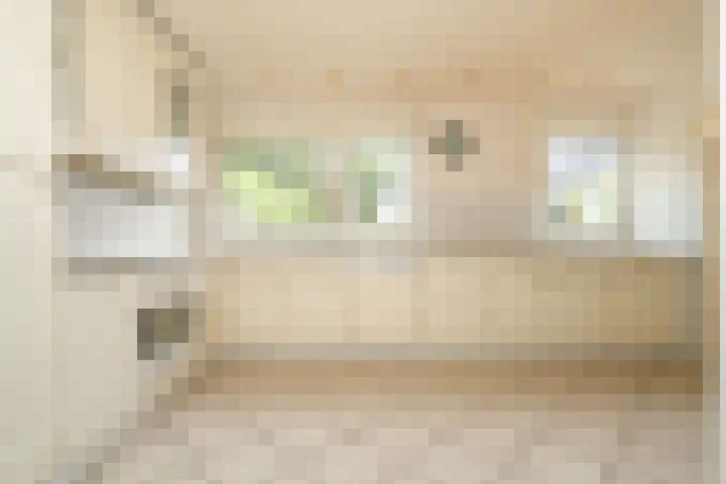 Ds. Prinsweg 7 Epe thumbnail 7