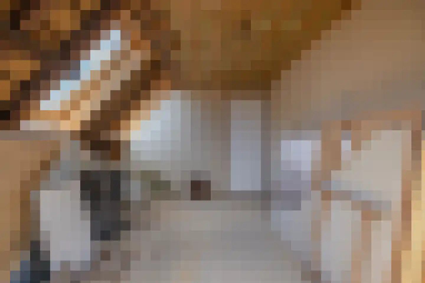 Ds.R.H.Kuipersstraat 6 Burdaard thumbnail 49