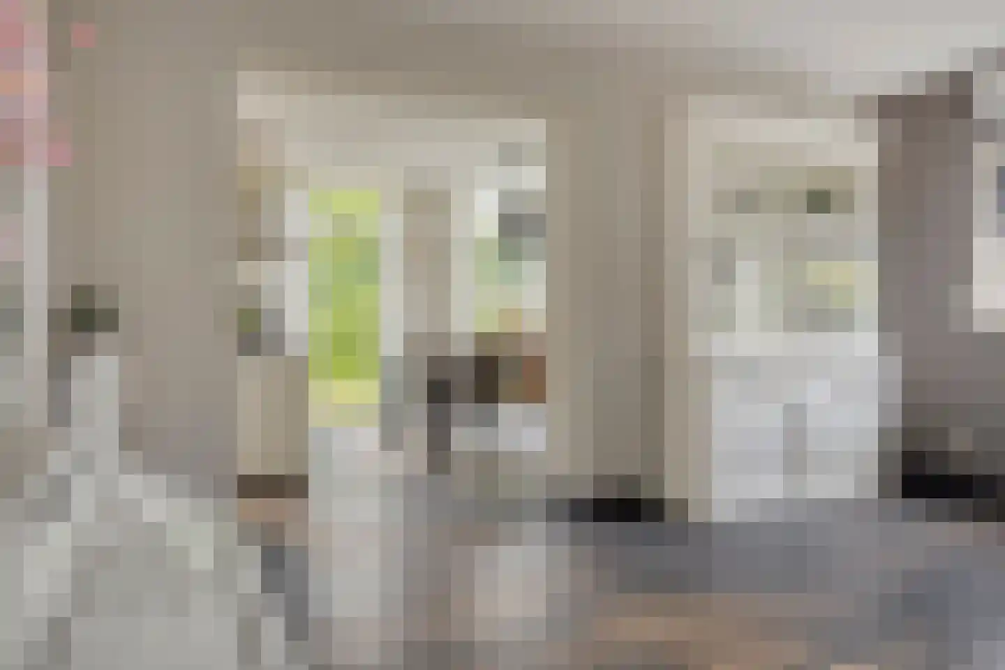 ds. Raamshof 2 Hoek thumbnail 11