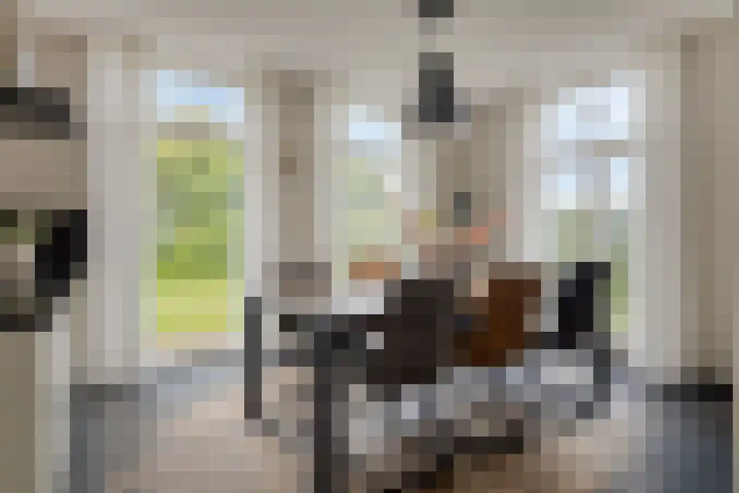 ds. Raamshof 2 Hoek thumbnail 12
