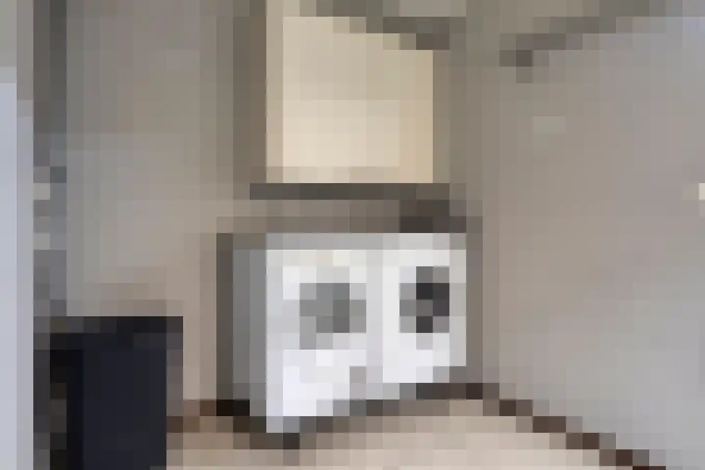 ds. Raamshof 2 Hoek thumbnail 20