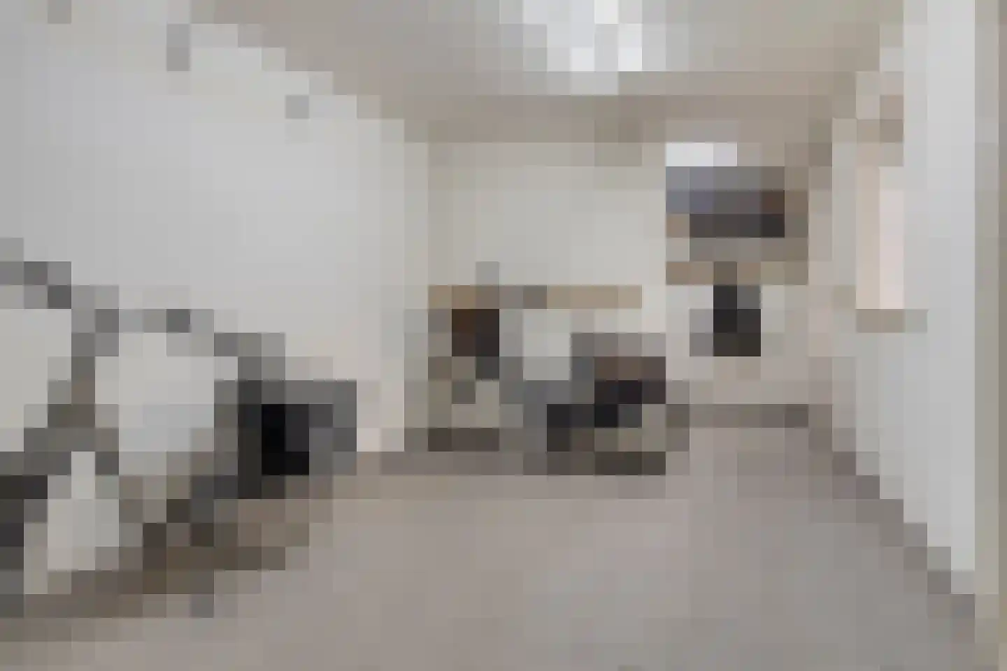 ds. Raamshof 2 Hoek thumbnail 22
